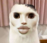the spooky scary skibidis