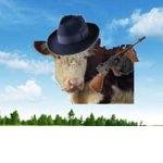 The Cow Mafia,