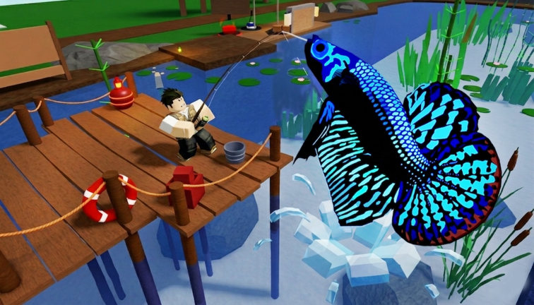Catch ’n Collect 🎣  artwork