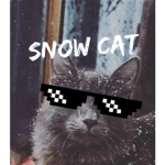 Snow Clan Cats