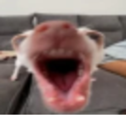 Dog.