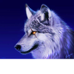#wolf zombies