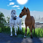 East Wind Equestrian