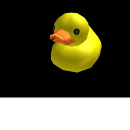 Ducc_Army meet