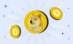doge's hub