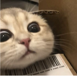 ITEM BUYER