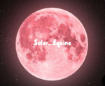 Solar Equine
