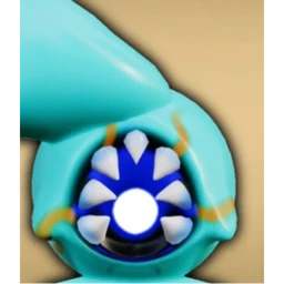Care Of Verver icon