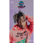 Ttvboygames gang