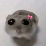 my melody/ sanrio hangout