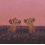 Safari Family Adventures!