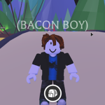Bacon Plays-Roblox Fan Group!