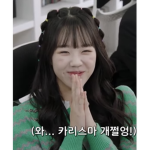 동빈SS크로S