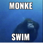 Swim monke