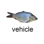 vehicle?