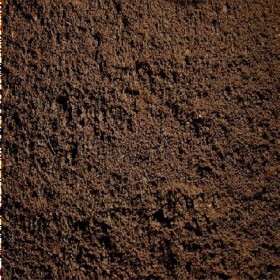 LIfe of a mole
