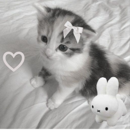 ‿