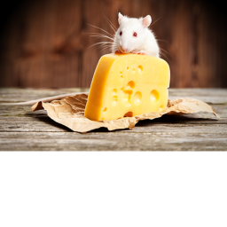 Cheese Obby