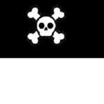 Skull Gaming Group