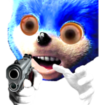 Sanic Cult