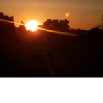 Cool_Dudez