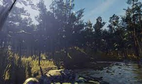 Cart Ride Simulator A