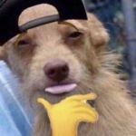 evil dog 惡-狗