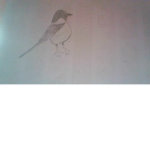 klaudia_sally