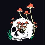 MUSHR00M CULT