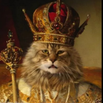 The Cat Empire!!