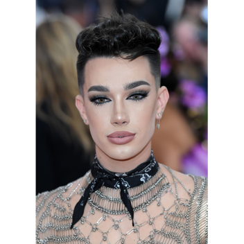 James Charles Simulator