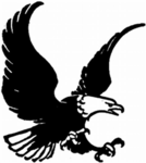 Gaurdian Eagles