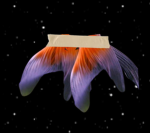 2 GoldFish Tales Taped Together