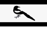 The Magpie Confederation