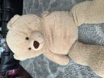 The big back bear