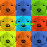 dogs of beans