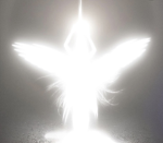 .elevenstoic