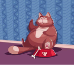 Kitty Cats Studio!