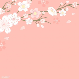 ʚ dazzling ɞ homestore