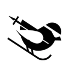 Ski patrol devs