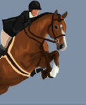 Meadow Springs Stables