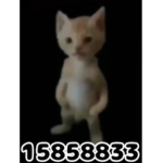 LEOISNICE