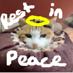 Rest In Peace Gina