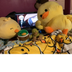 rubber duck squad :D