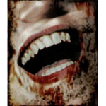 DEADLY PREMONITION