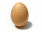 The Egg Carton Fan club