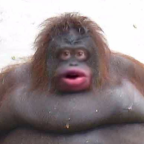 [OGROMNA AKTUALIZACJA!] UH OH ŚMIERDZĄCY