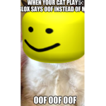 Robux Payout Group Fund