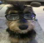 ɑ
