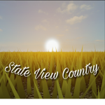 StateViewCountry.
